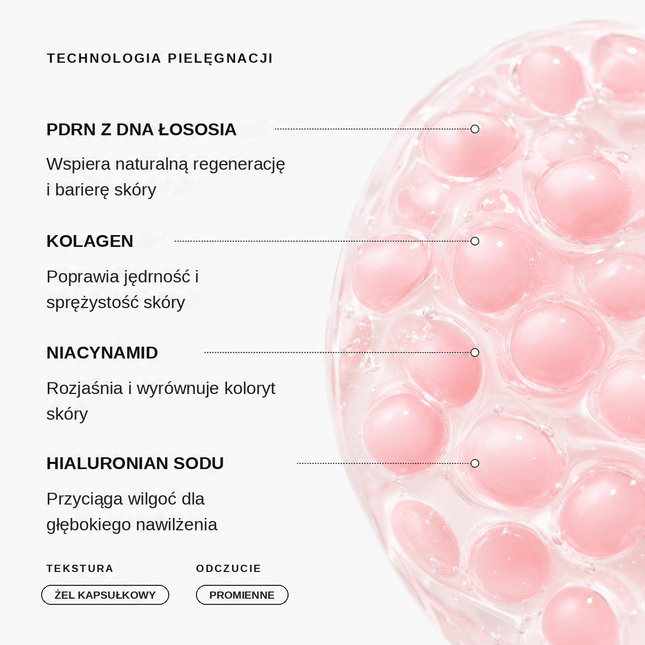 Nawilżający krem z PDRN i kolagenem